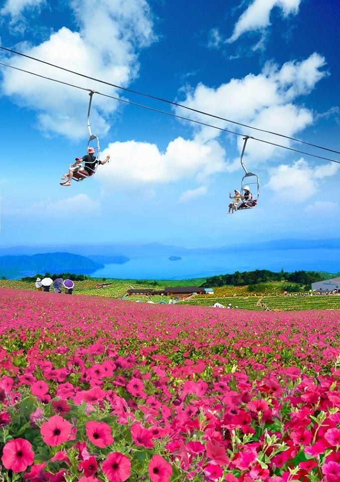 桃色吐息・ペチュニア