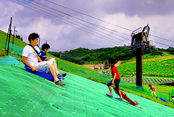 そり遊びヒルズ